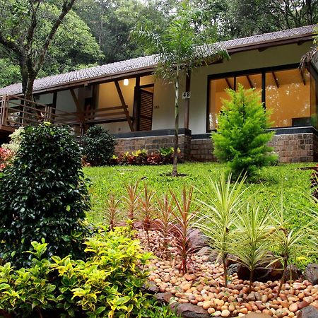 The Ibnii - Eco Luxury Resort Madikeri Exteriér fotografie