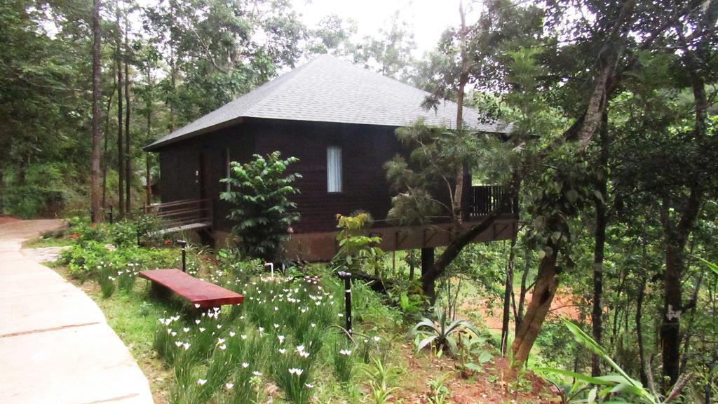The Ibnii - Eco Luxury Resort Madikeri Exteriér fotografie