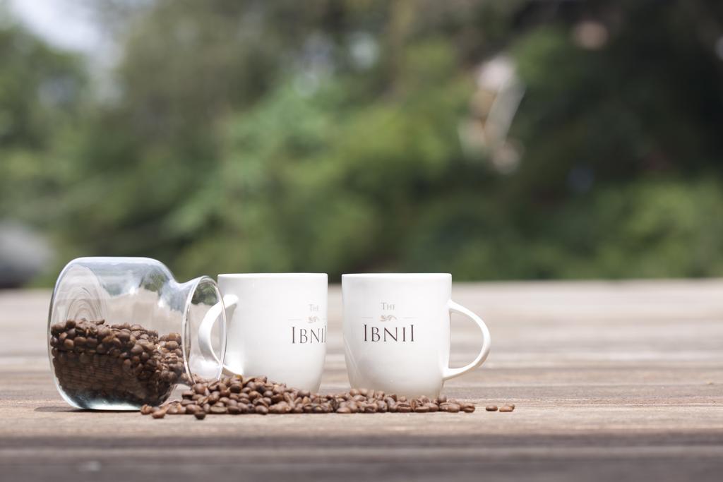 The Ibnii - Eco Luxury Resort Madikeri Exteriér fotografie