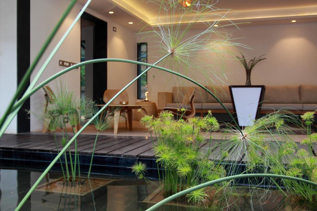 The Ibnii - Eco Luxury Resort Madikeri Exteriér fotografie
